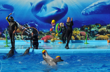 6 июня 2012, 17:18 Переглядів:   Гігантський аквапарк
