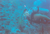 5 днів з двотижневого перебування в ШЕШ були віддані на навчання дайвінгу (навчався тільки чоловік) в школі Divers Den, що базується в готелі Seti Sharm