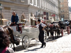 Запряжені парою коней фіакри можна бачити в будь-яку погоду на вулицях Відня