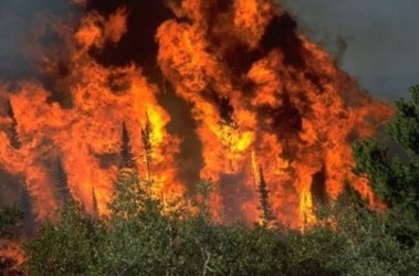 27 июня 2012, 15:52 Переглядів:   Під Ялтою горить ліс