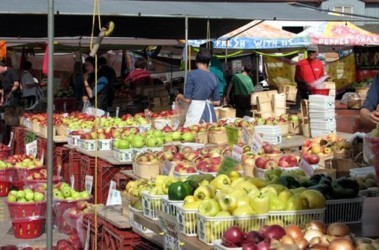 28 вересня 2011, 10:17 Переглядів:   На ринках Сімферополя в цьому році збільшилася частка кримських фруктів і овочів
