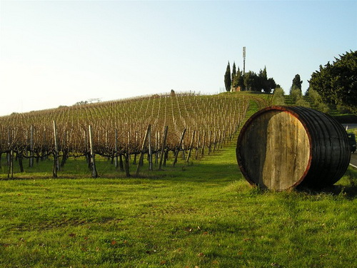 Глобалізація - дуже знайоме і дуже гірку слово для італійських виноробів