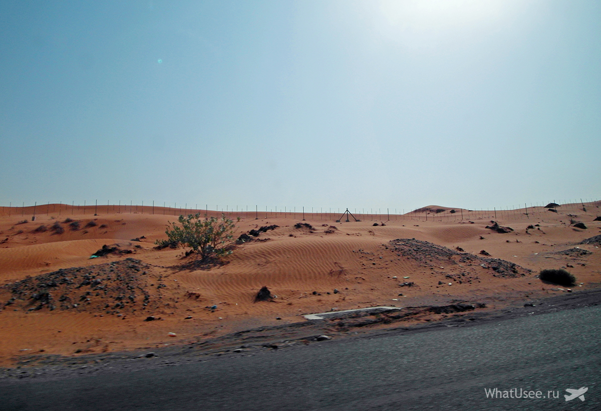 Другу половину нашої подорожі по ОАЕ ми провели активно по максимуму: з Дубая з'їздили на півострів Мусандам (султанат Оман) і відвідали столицю Об'єднаних Арабських Еміратів - Абу-Дабі