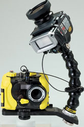 Найсучасніший вибір підводного фотографа - нова цифрова амфібія Sea & Sea AquaPix DX-3100 з підводного спалахом Sea & Sea YS-25