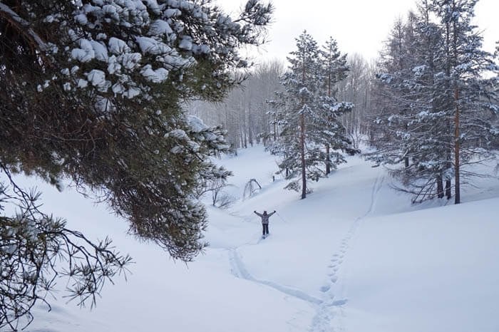 Незайманий сніжок в лісі поруч з трасами   Невідомий схил для фрірайду, що виводить до будиночків (на фото його закінчення)