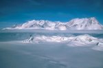 У гірському масиві Вінсон, розміри якого приблизно 21х13 кілометрів, розташована найвища точка   антарктичного континенту