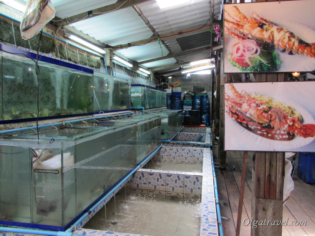 Найсвіжіші і найсмачніші морепродукти можна покуштувати в ресторанах Банг Бао   Будь-яка морська живність плаває в акваріумах   Ціни на рибу та морепродукти в Банг Бао зовсім недешеві