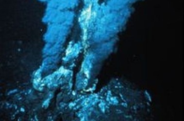 5 серпня 2008, 18:45 Переглядів:   Гідротермальний джерело в Атлантичному океані