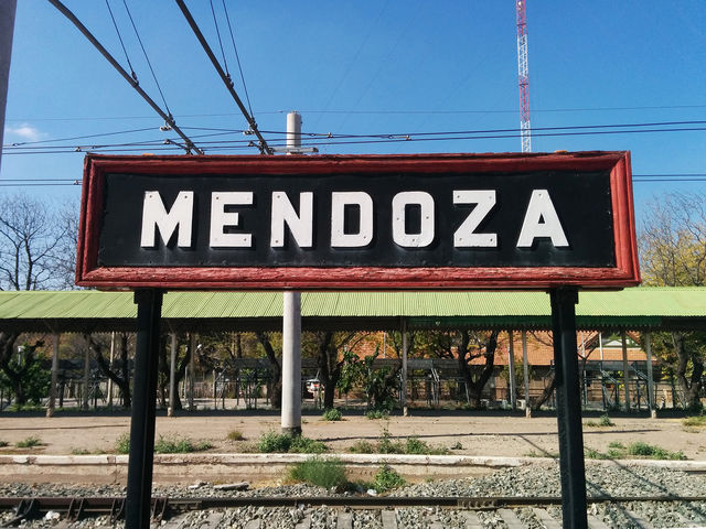 Долина Мендоси вважається головним винним регіоном країни, адже тут виробляють 80% всього вина